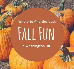 Fall Fun Washington DC