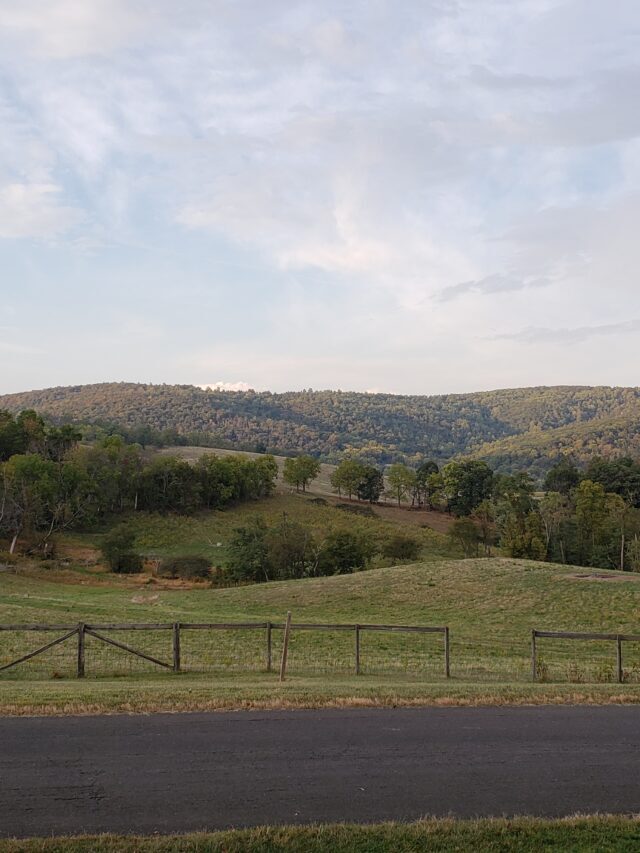 Stargazing at Sky Meadows State Park