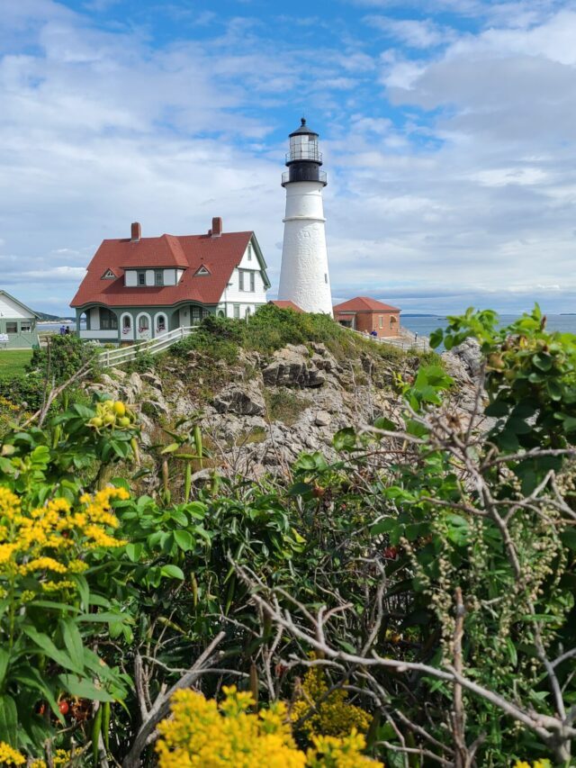 An Afternoon at Fort Williams Park, Maine