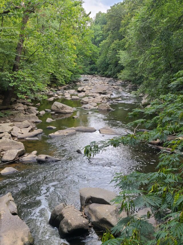 cropped-Rock-Creek-Park-Summer-scaled-1.jpg
