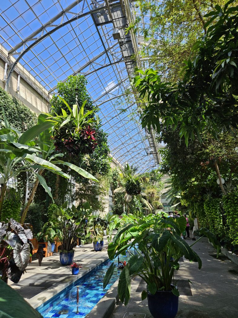 What’s Blooming at the United States Botanic Gardens