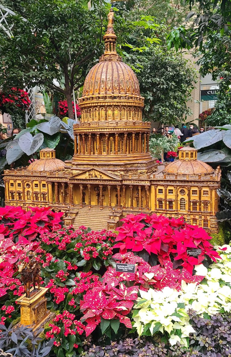 US Capitol made from plants at the