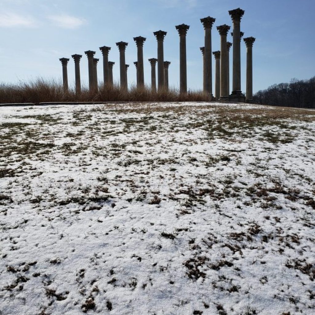 National Arboretum Columns Winter